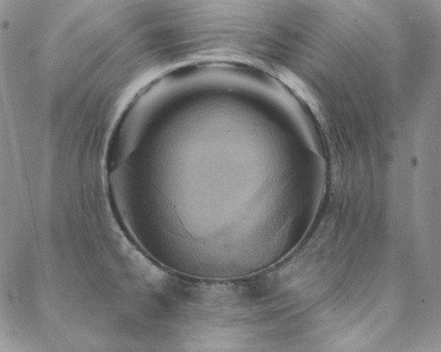 X0000088871334200706081206
