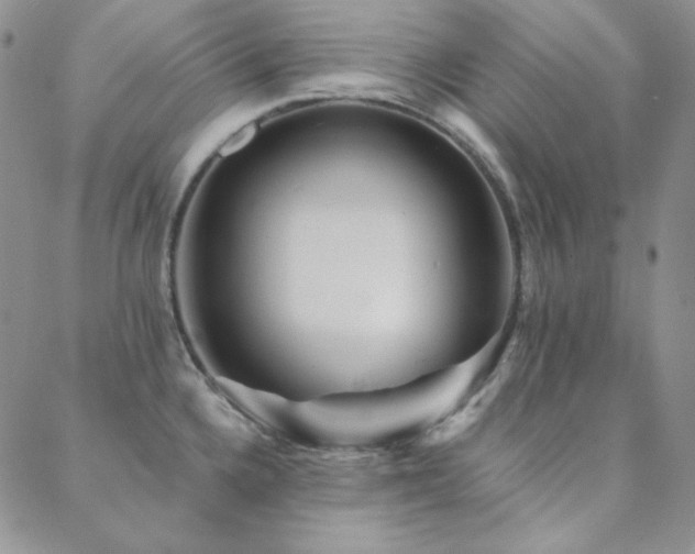 X0000088871336200706081206