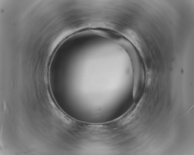 X0000088871342200706081206