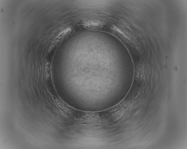 X0000088871346200706081205