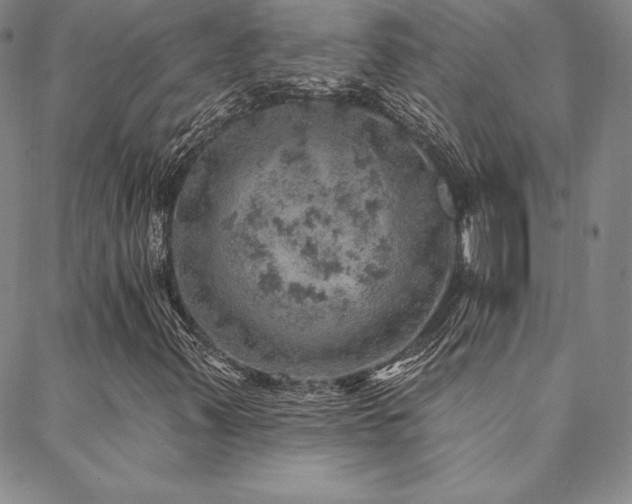 X0000088871347200706081205