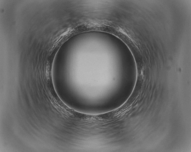 X0000088871348200706081205