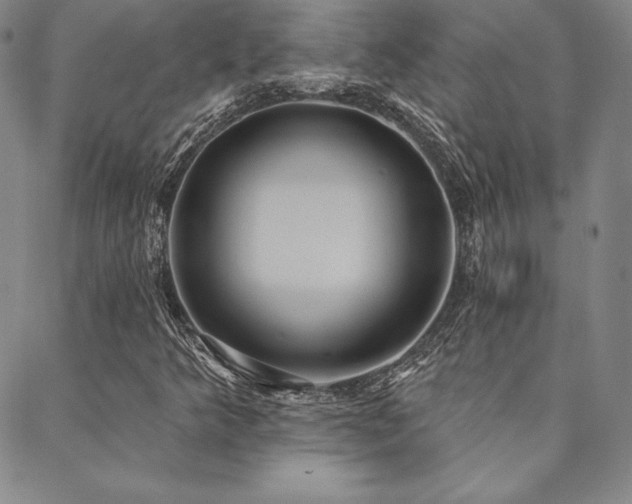 X0000088871349200706081205