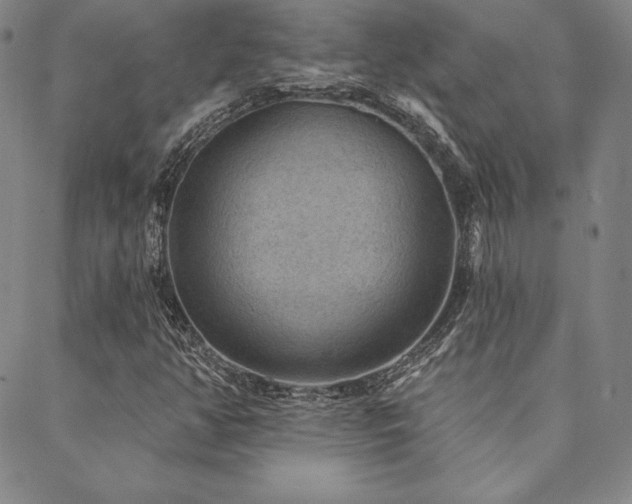 X0000088871350200706081205