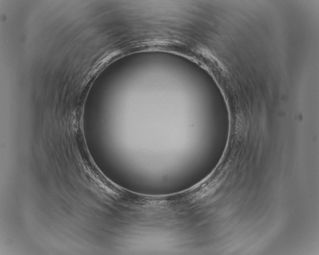 X0000088871353200706081205