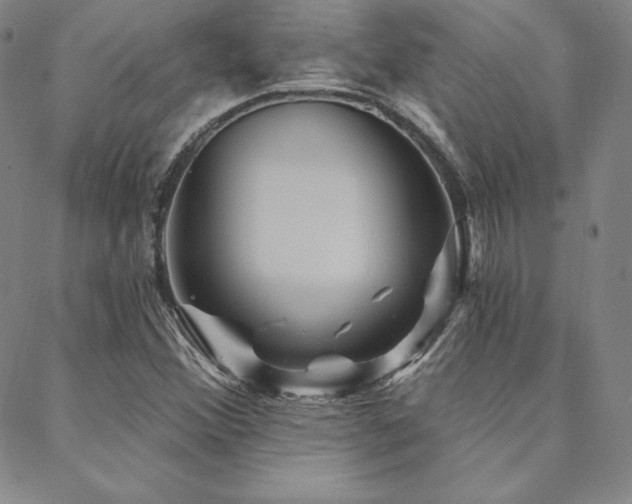 X0000088871356200706081205
