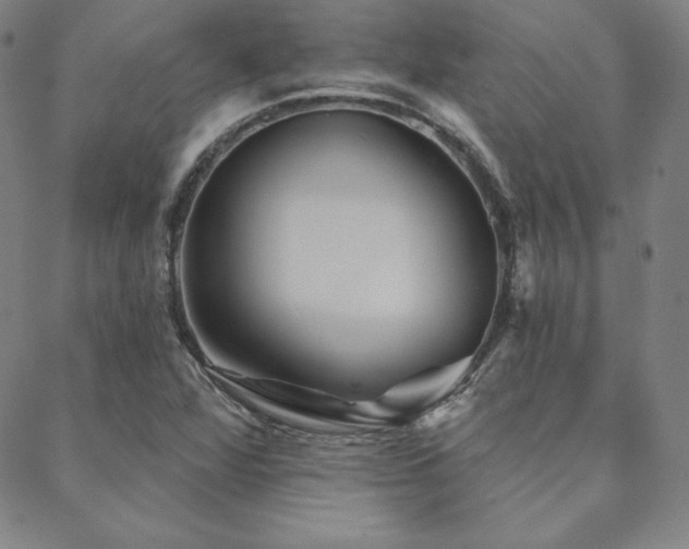 X0000088871360200706081205