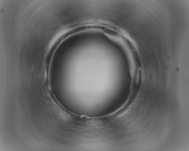 X0000088871368200706081205