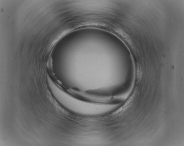X0000088871369200706081205