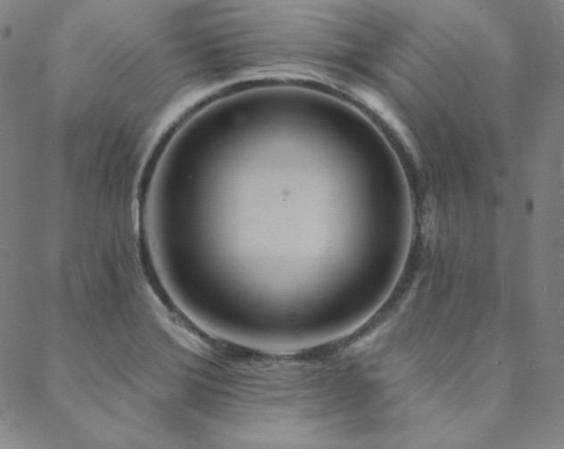 X0000088871372200706081205