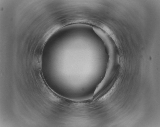 X0000088871377200706081205