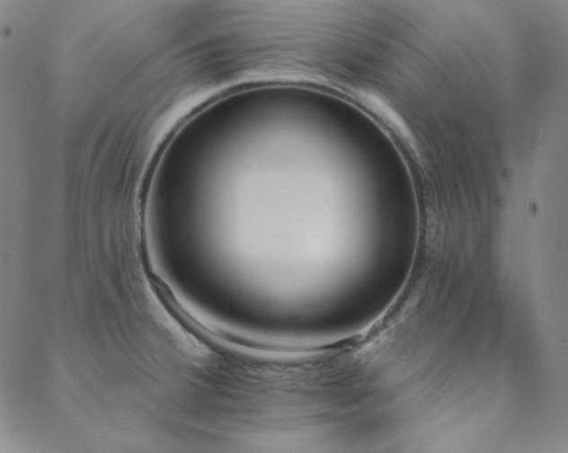 X0000088871380200706081205