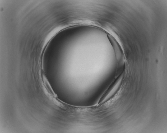 X0000088871389200706081205