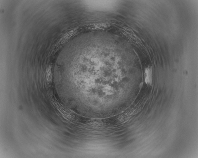 X0000088871395200706081204
