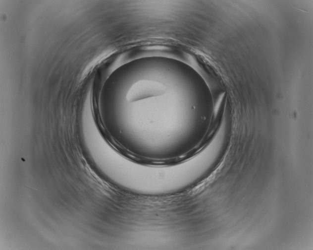 X0000088871402200706081204