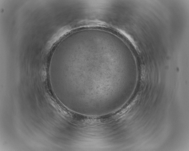 X0000088871407200706081204
