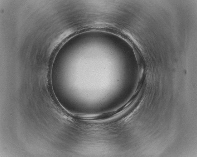 X0000088871410200706081204