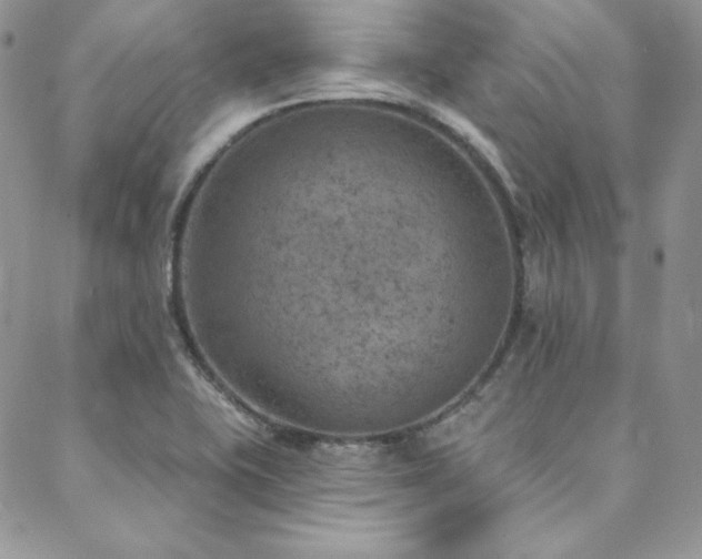 X0000088871415200706081204