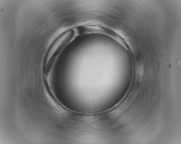 X0000088871422200706081204