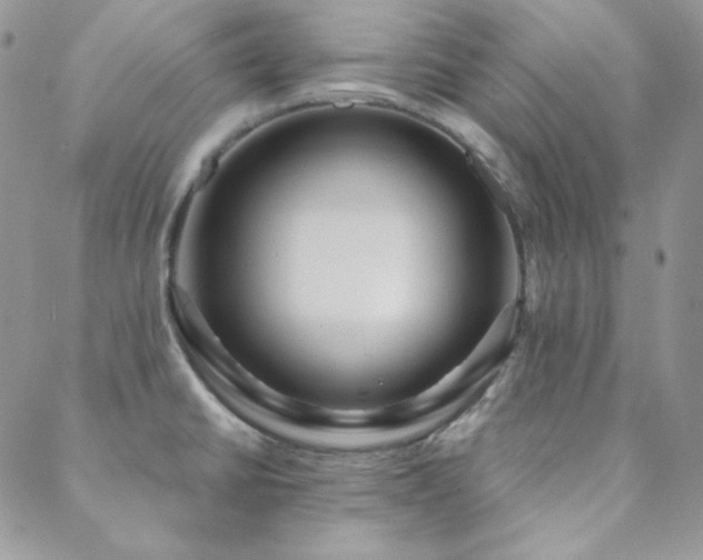 X0000088871430200706081204
