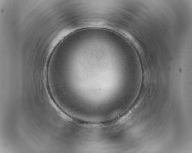 X0000088871432200706081204