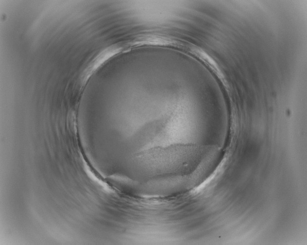 X0000088871433200706081204