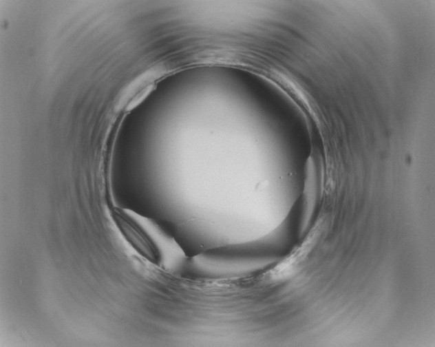 X0000088871434200706081204