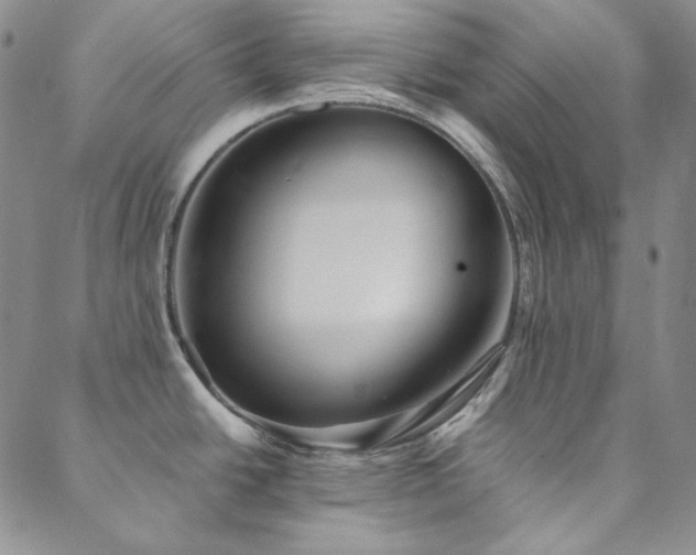 X0000088871438200706081204