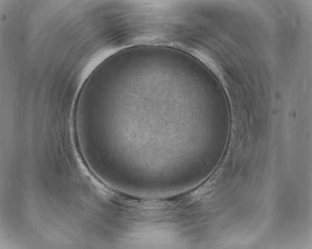 X0000088871440200706081204
