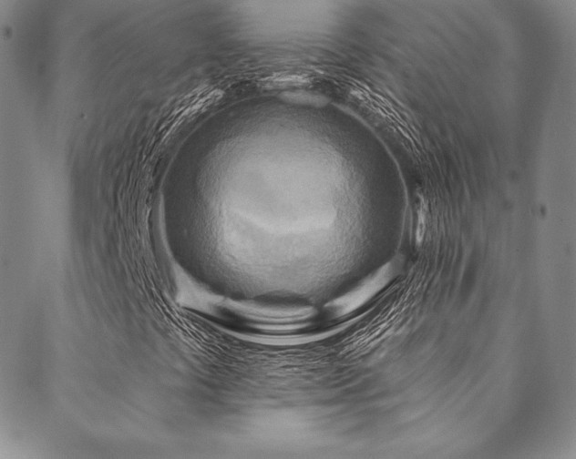 X0000088871441200706081204