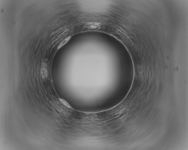 X0000088871442200706081204