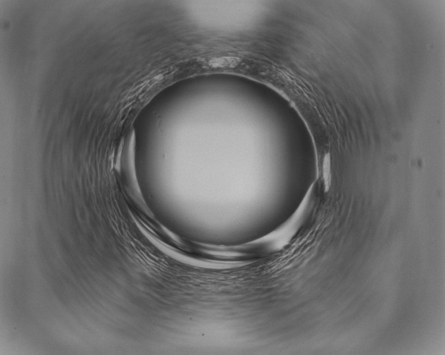 X0000088871443200706081204