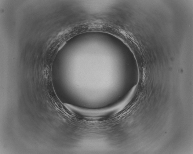 X0000088871445200706081204