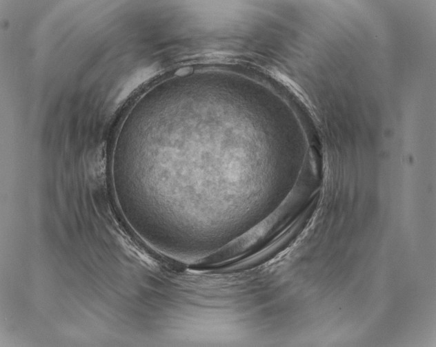 X0000088871450200706081204