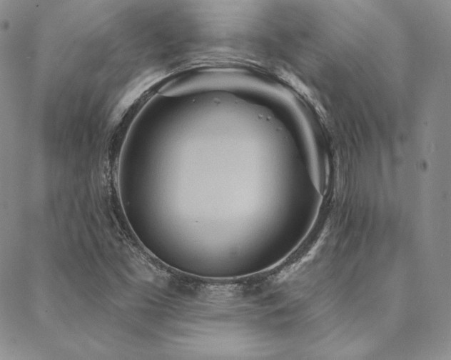 X0000088871453200706081204