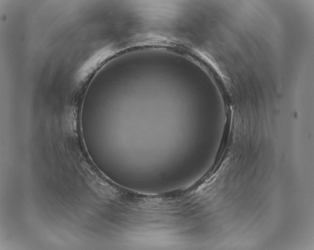 X0000088871455200706081203