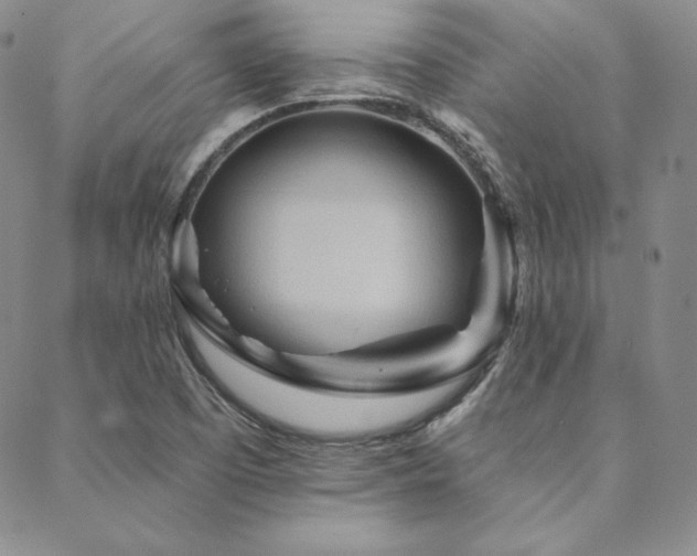 X0000088871457200706081203