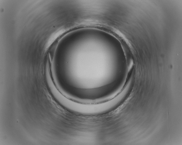 X0000088871461200706081203