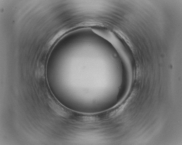 X0000088871465200706081203