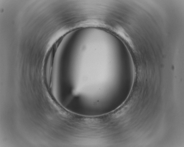 X0000088871469200706081203