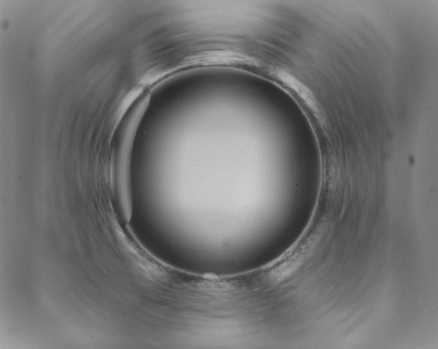 X0000088871473200706081203