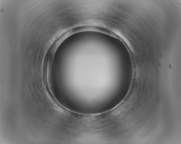 X0000088871477200706081203