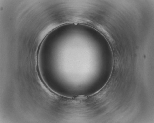 X0000088871479200706081203
