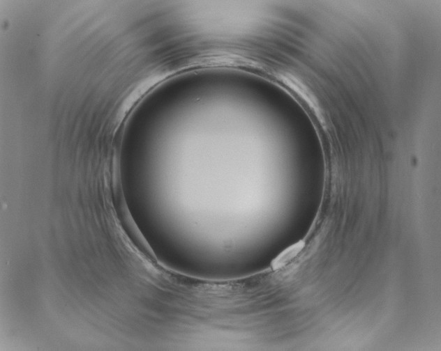 X0000088871481200706081203