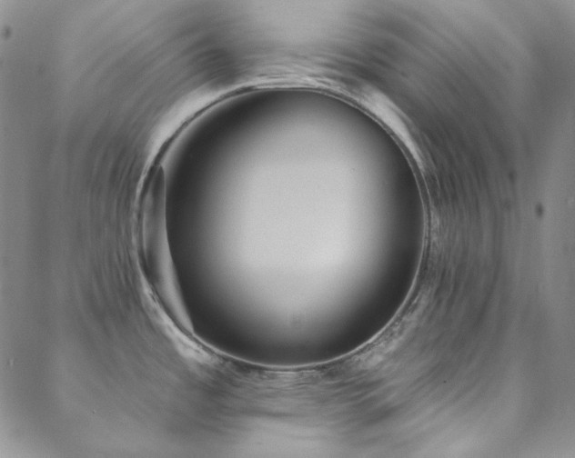 X0000088871485200706081203