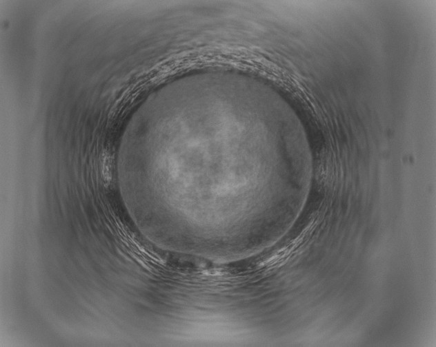 X0000088871490200706081202