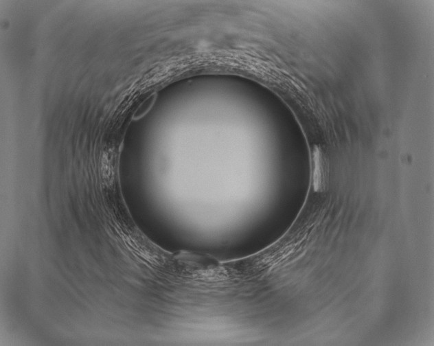 X0000088871491200706081202