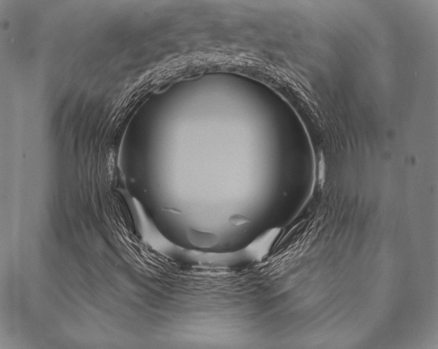 X0000088871492200706081202