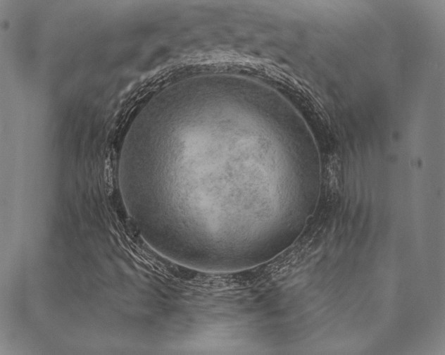 X0000088871493200706081202