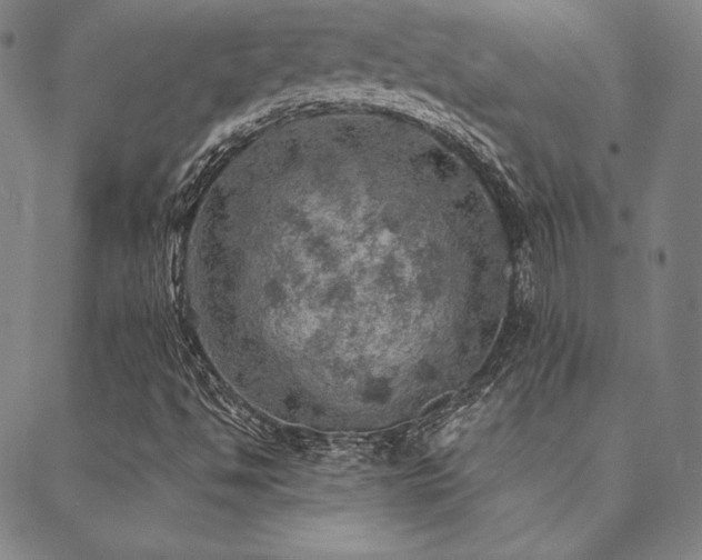 X0000088871494200706081202